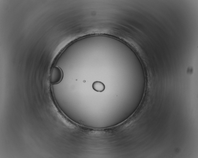 X0000110720894200906261453