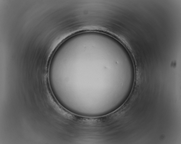 X0000110720895200906261453