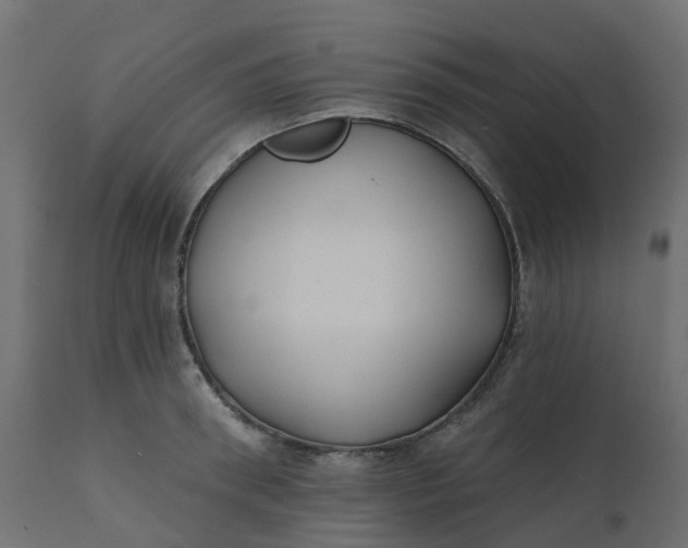 X0000110720898200906261453