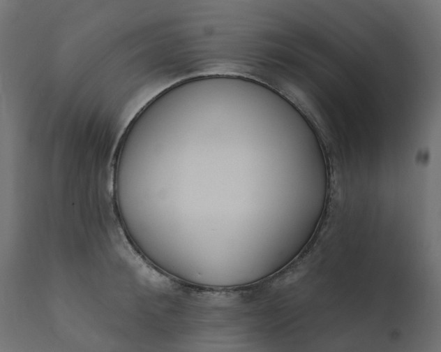 X0000110720900200906261453