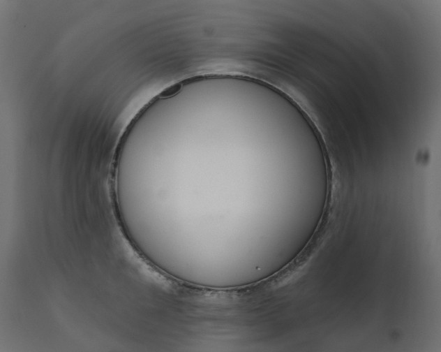 X0000110720901200906261453