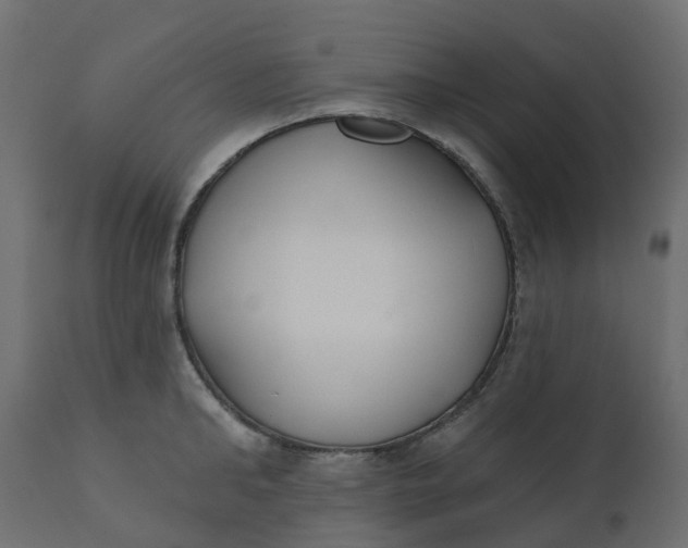 X0000110720902200906261453