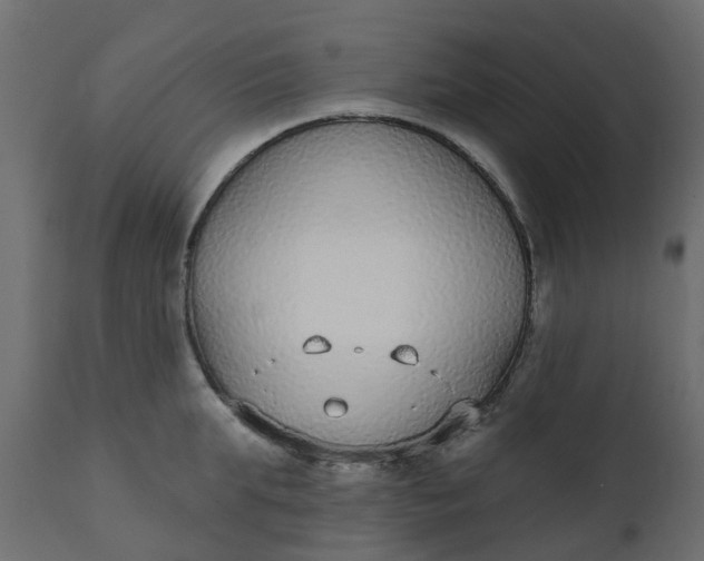 X0000110720903200906261453