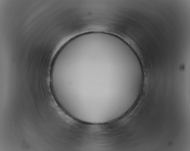 X0000110720904200906261453