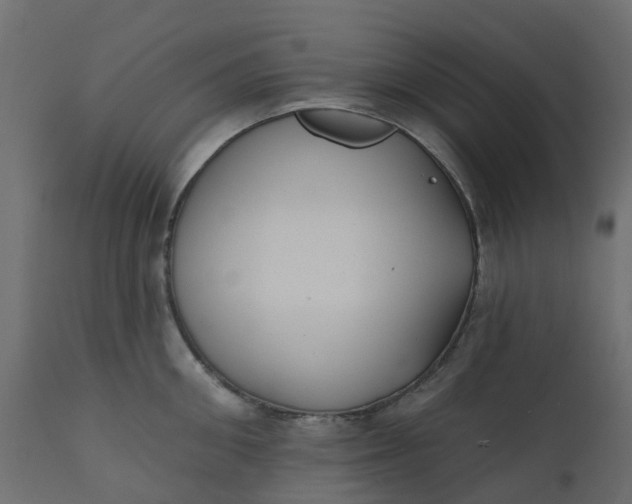 X0000110720906200906261453