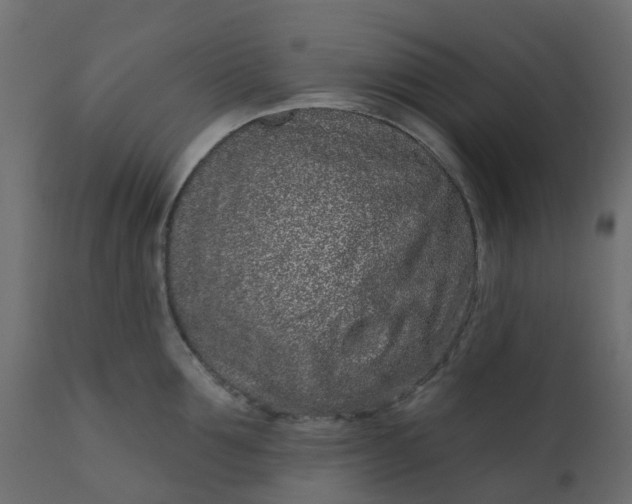 X0000110720907200906261453