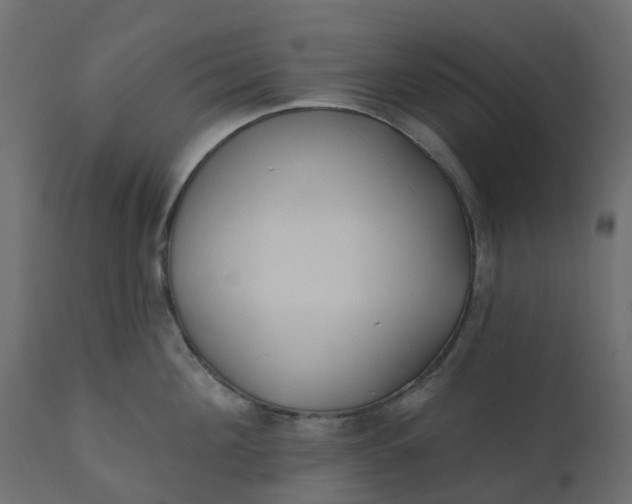 X0000110720908200906261453