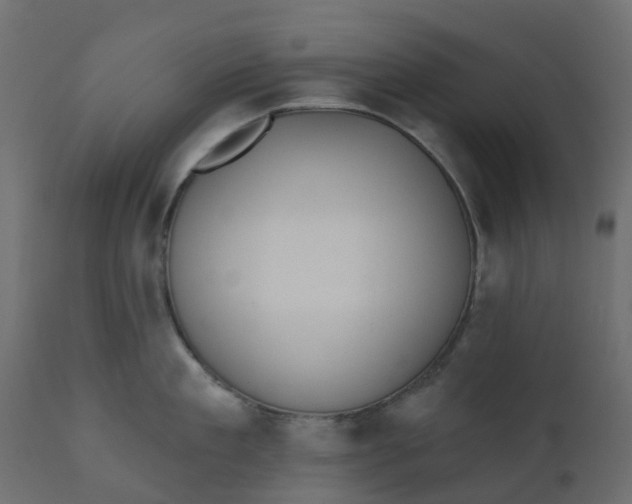 X0000110720909200906261453