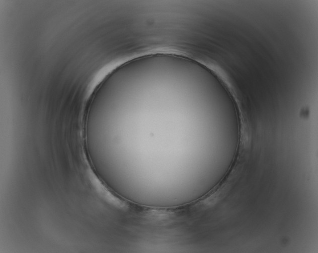 X0000110720910200906261453