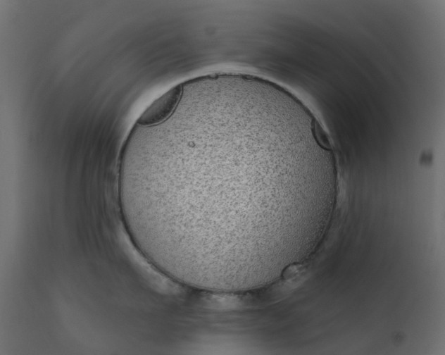 X0000110720911200906261453