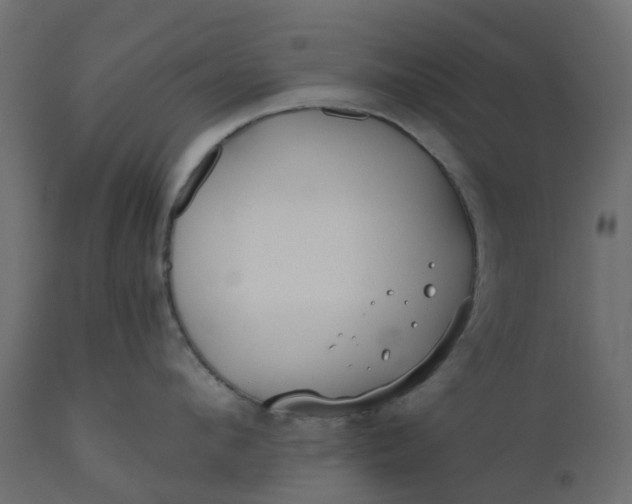 X0000110720912200906261453