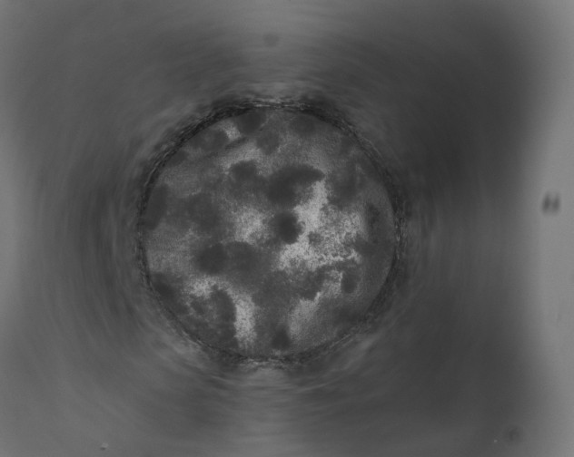 X0000110720913200906261452