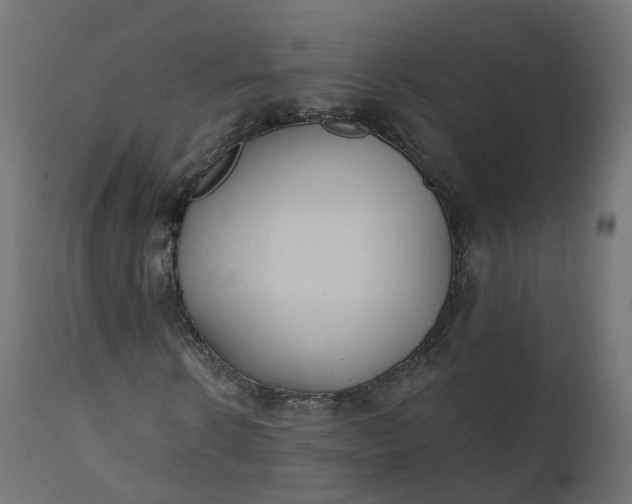 X0000110720914200906261452