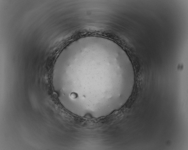 X0000110720917200906261452