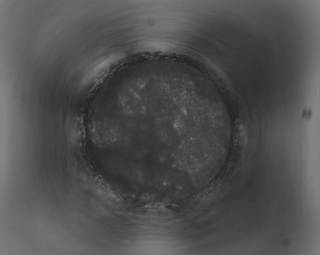 X0000110720918200906261452