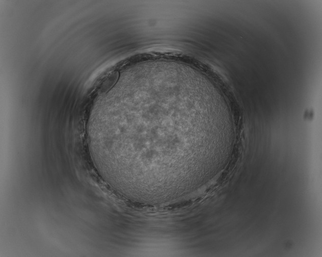 X0000110720920200906261452