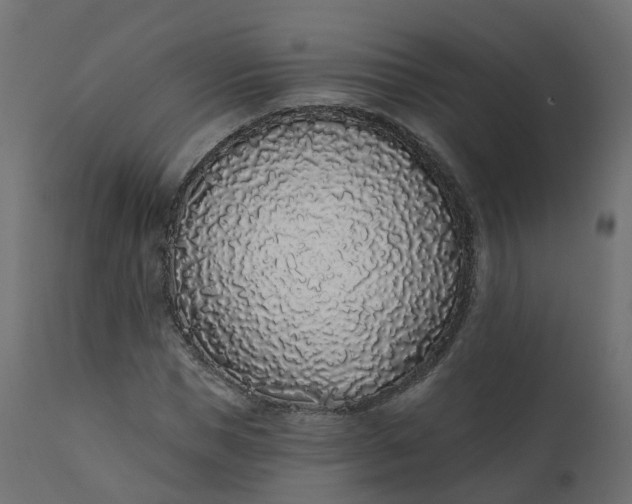 X0000110720921200906261452