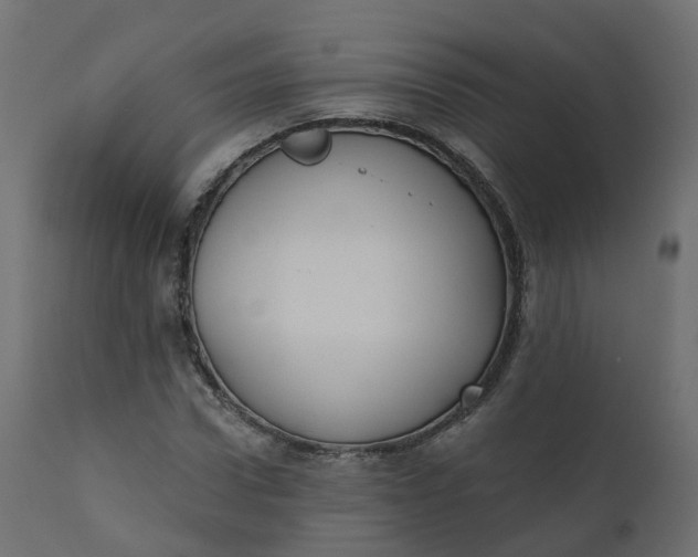 X0000110720922200906261452