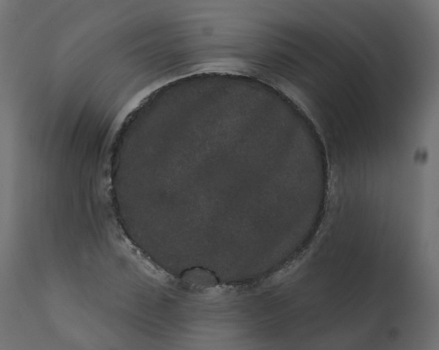 X0000110720923200906261452