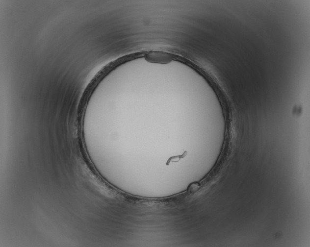 X0000110720924200906261452