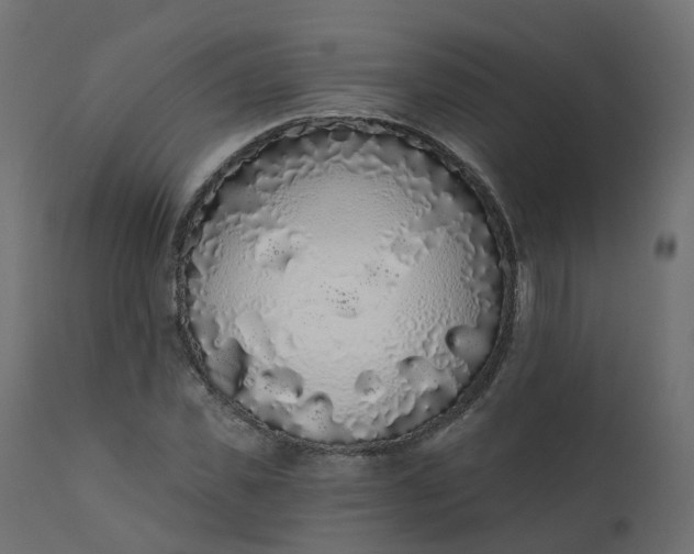 X0000110720925200906261452