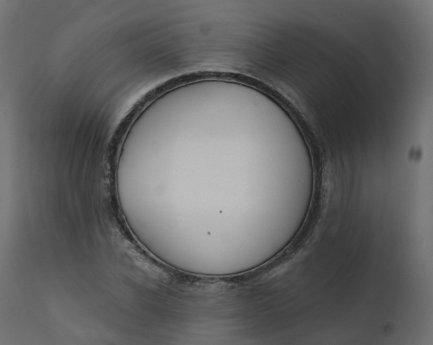 X0000110720926200906261452