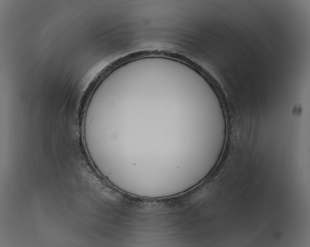 X0000110720927200906261452