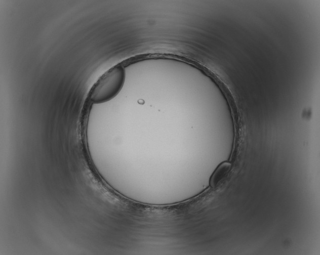 X0000110720928200906261452