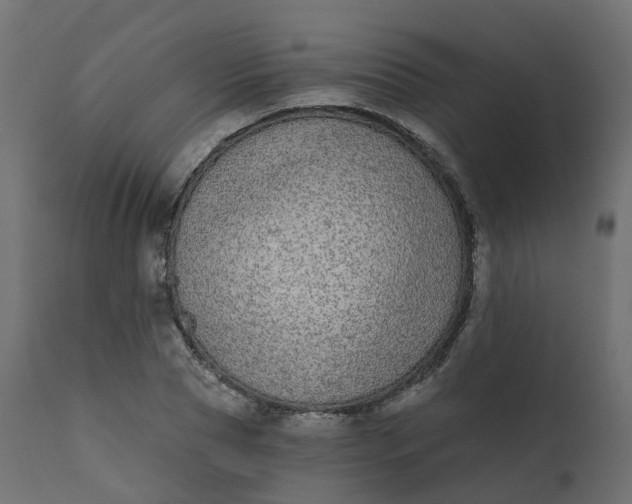 X0000110720929200906261452