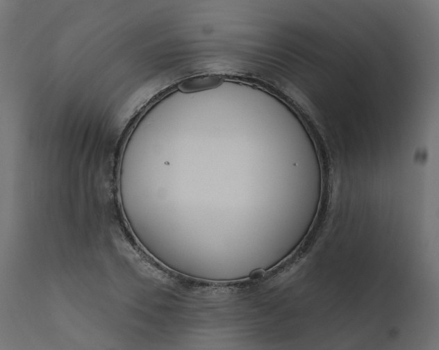 X0000110720930200906261452