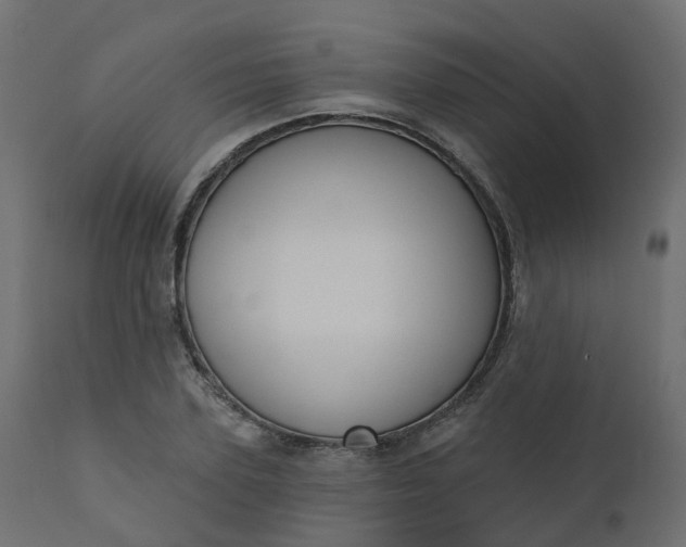 X0000110720931200906261452