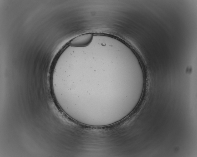 X0000110720932200906261452