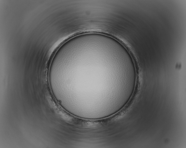 X0000110720933200906261452