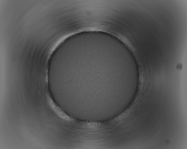 X0000110720934200906261452