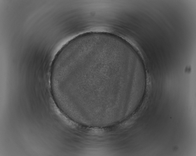 X0000110720935200906261452