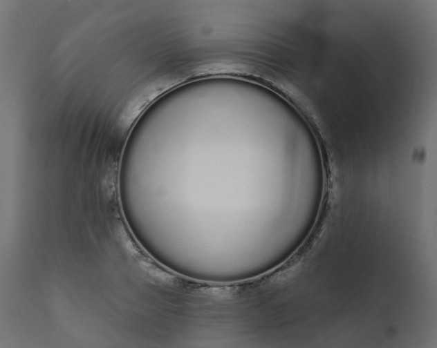 X0000110720937200906261452