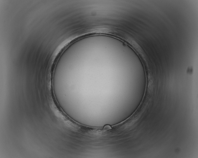 X0000110720939200906261452