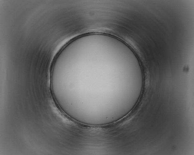 X0000110720940200906261452