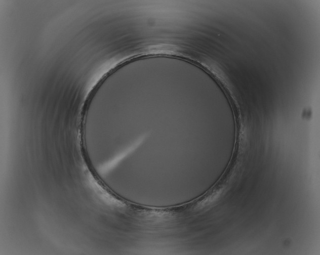 X0000110720941200906261452