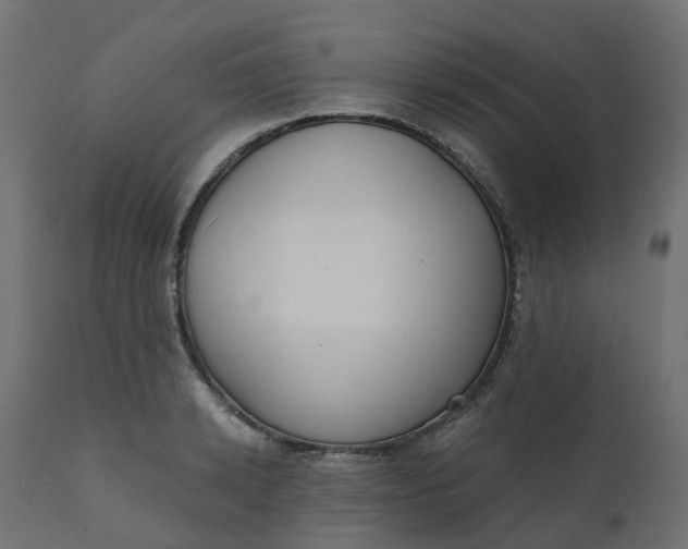 X0000110720942200906261452