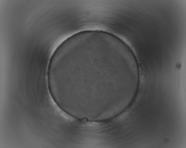 X0000110720943200906261452