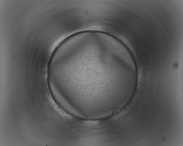 X0000110720944200906261452