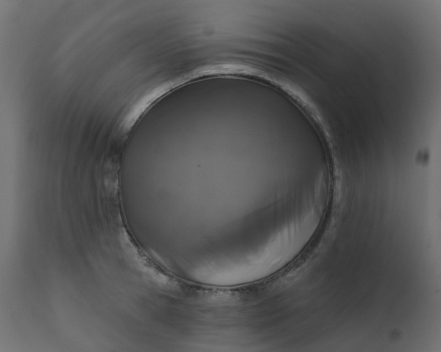 X0000110720945200906261452