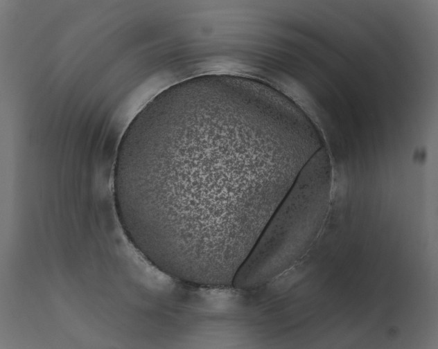 X0000110720946200906261452