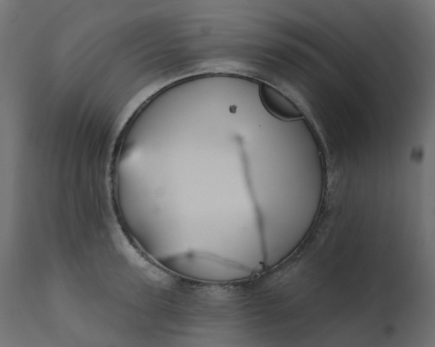 X0000110720947200906261452