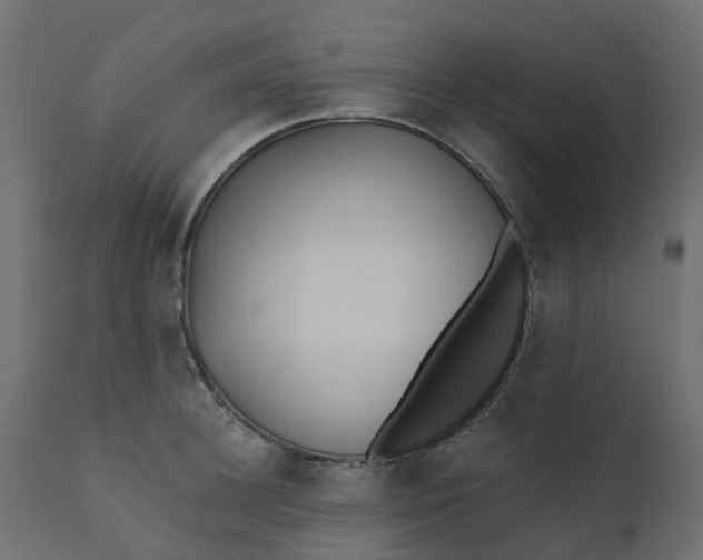 X0000110720948200906261452