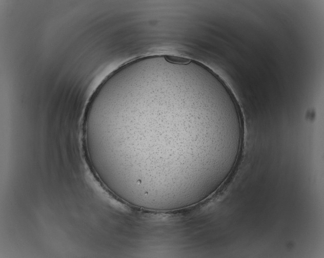 X0000110720949200906261452