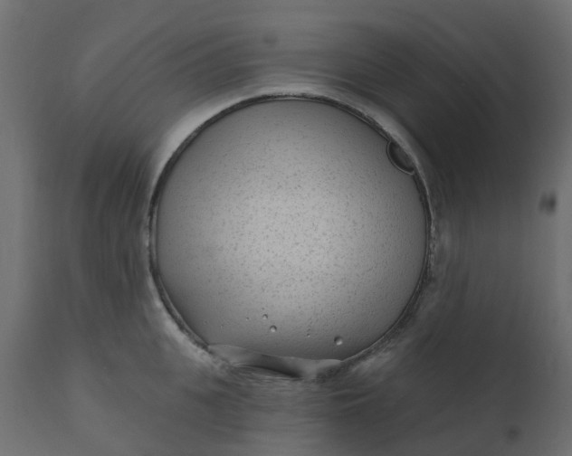 X0000110720951200906261452