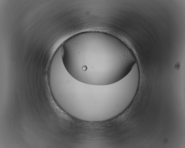 X0000110720952200906261452