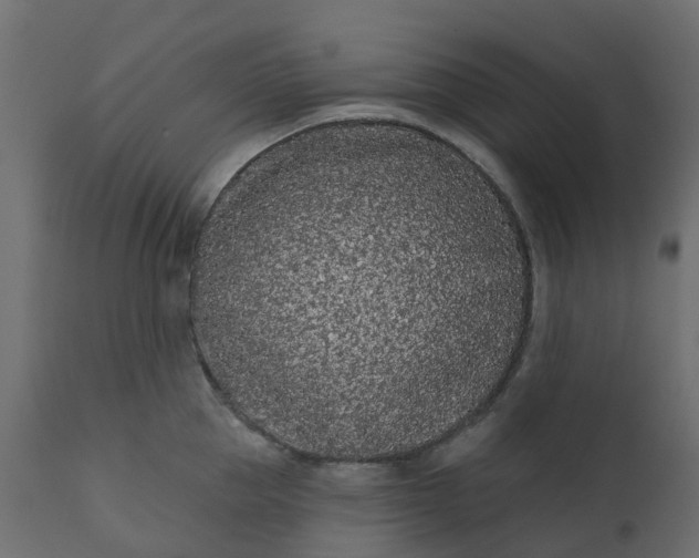 X0000110720953200906261452